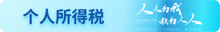 个人所得税专栏