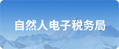 自然人电子税务局
