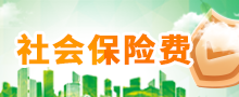 社会保险费专栏